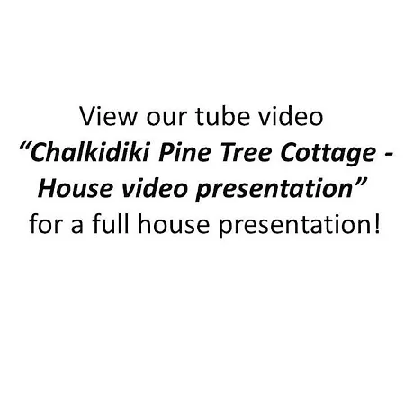 Pine Tree *