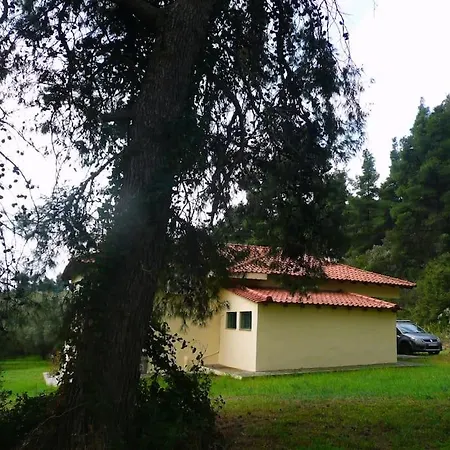 Pine Tree Feriehus *